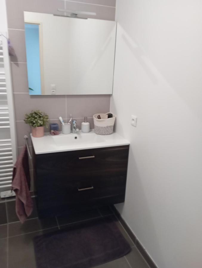 Chambre Nature Chez L'Habitant Strasbourg Ngoại thất bức ảnh